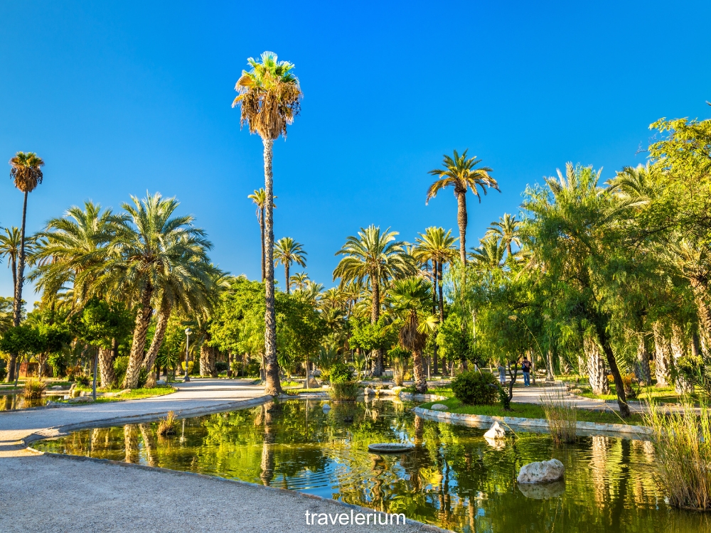 Elche - Day Trips from the Costa Blanca